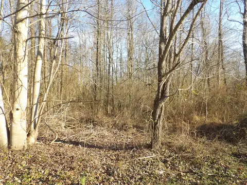 312 Blakely Ln, Middlesboro, KY 40965