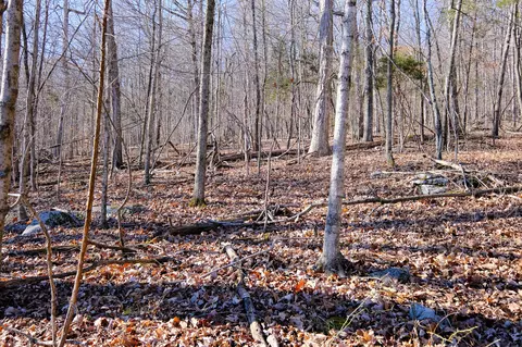 166 Regal Ave, Somerset, KY 42501