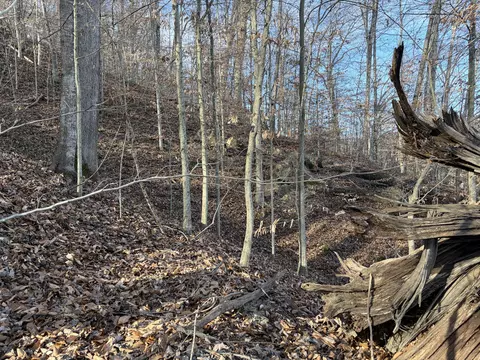 00 Campton Rd, Stanton, KY 40380 photo 9