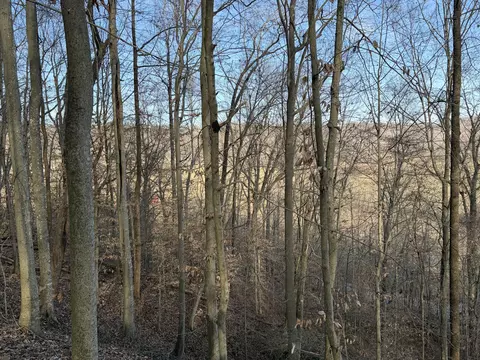 00 Campton Rd, Stanton, KY 40380 photo 14
