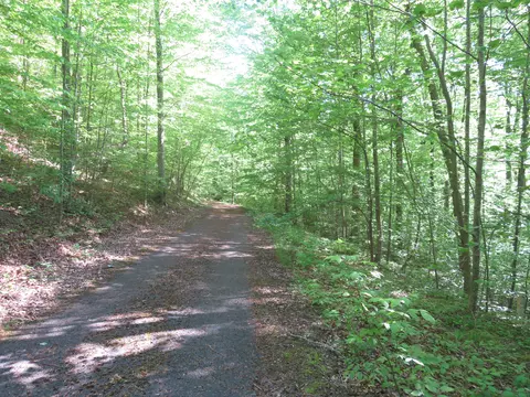 9999 Lots 225227228231 Stillwater, Russell Springs, KY 42642