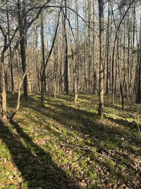 1064 Frontage Rd, Russell Springs, KY 42642