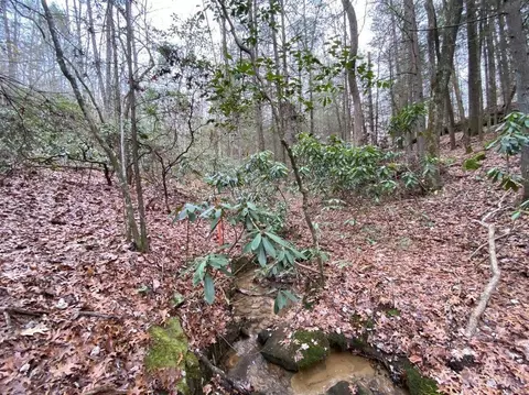 Other - 551 Rogers Rd, Corbin, KY 40701 photo 30 of 37