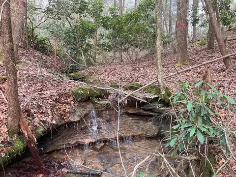 Other - 551 Rogers Rd, Corbin, KY 40701 photo 34 of 37