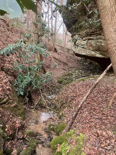 Other - 551 Rogers Rd, Corbin, KY 40701 photo 35 of 37