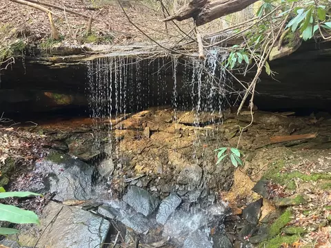 Other - 551 Rogers Rd, Corbin, KY 40701 photo 33 of 37