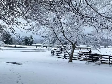 575 Smith Brewer Rd, London, KY 40744