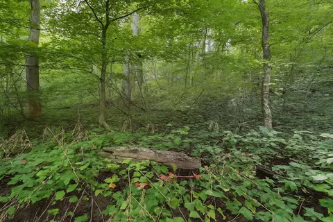 0 Nada Tunnel Rd, Stanton, KY 40380