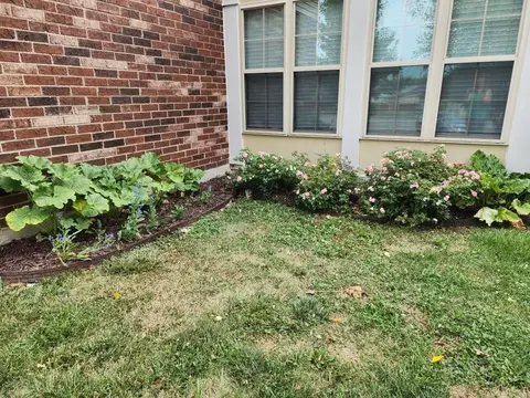 Exterior - 104 Bronte Pl, Georgetown, KY 40324 photo 10 of 10