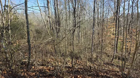 0 S Ky 1651, Revelo, KY 42638