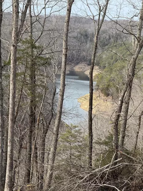4647 Grider Hill Dock Rd, Albany, KY 42602