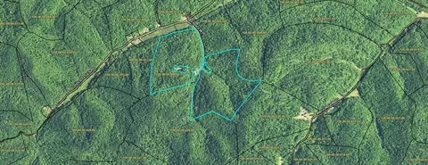 9999 Turkey Hollow Rd, Oneida, KY 40972