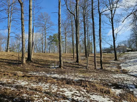155 Baker Estates Rd, Pine Ridge, KY 41360 photo 9