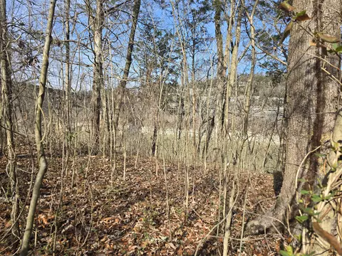 386 E Lakeshore Dr, Burnside, KY 42519 photo 2