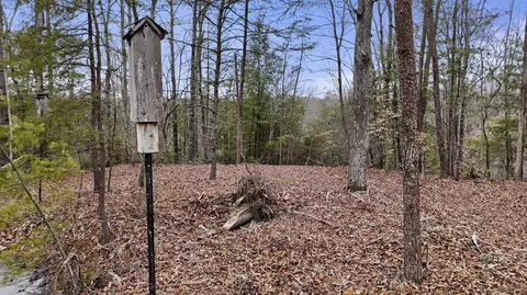 235 Eureka Rd, Zoe, KY 41397 photo 3