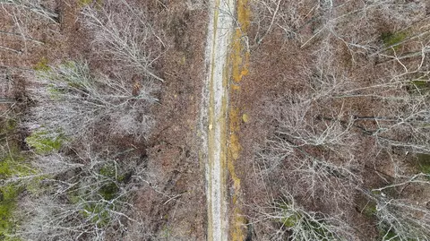 235 Eureka Rd, Zoe, KY 41397 photo 8