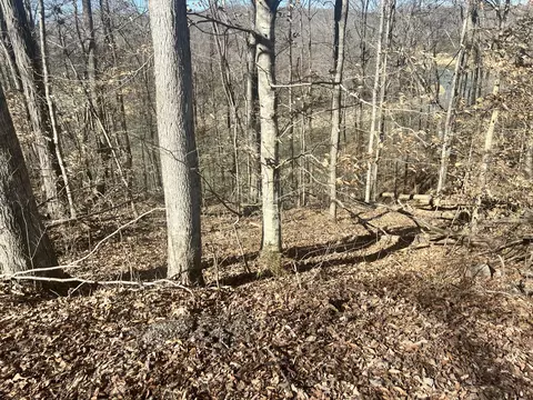 45 Shepperd Dr, Nancy, KY 42544 photo 5