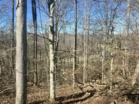 45 Shepperd Dr, Nancy, KY 42544 photo 3