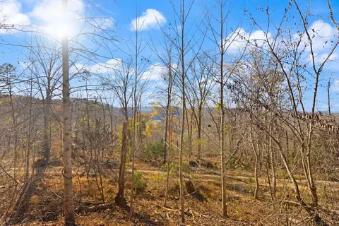 View/Area - 65 Maple Dr, Burnside, KY 42519 photo 1 of 14