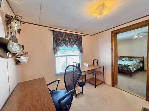 Other - 355 Clover Hill Rd, Ewing, KY 41039 photo 3 of 11