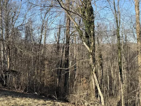 41 Reynolds Rd, Mckee, KY 40447