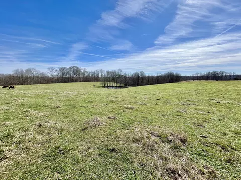 3175 Ard Ridge Rd, Nancy, KY 42544 photo 3