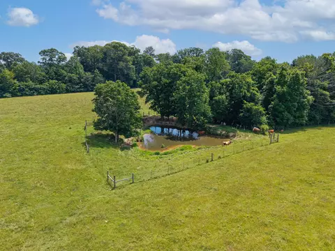 3175 Ard Ridge Rd, Nancy, KY 42544 photo 15