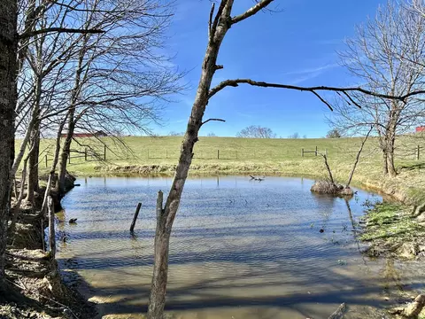 3175 Ard Ridge Rd, Nancy, KY 42544 photo 17