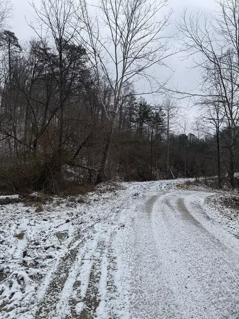 0 Briar Fork Rd, Sandy Hook, KY 41171 photo 3