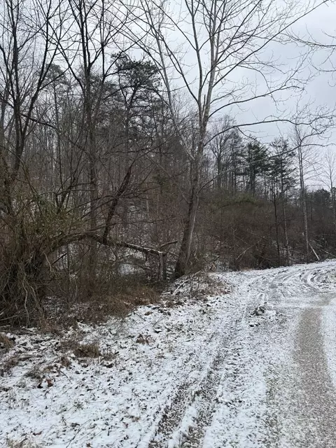 0 Briar Fork Rd, Sandy Hook, KY 41171