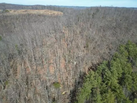 0 Briar Fork Rd, Sandy Hook, KY 41171 photo 9