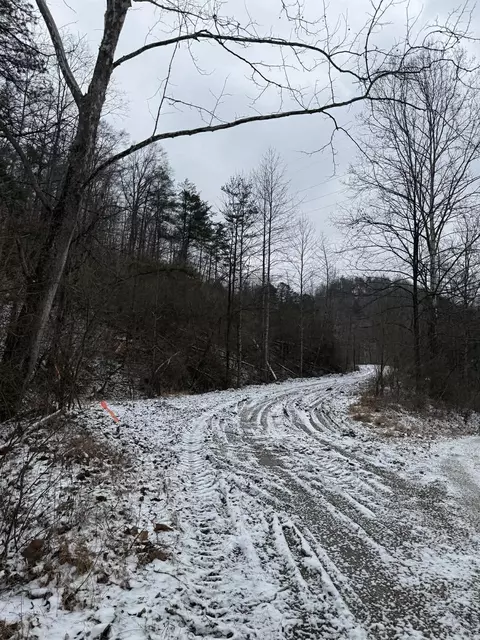 0 Briar Fork Rd, Sandy Hook, KY 41171 photo 5