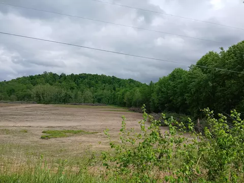 Track D Brad Petrey Road, Waynesburg, KY 40489