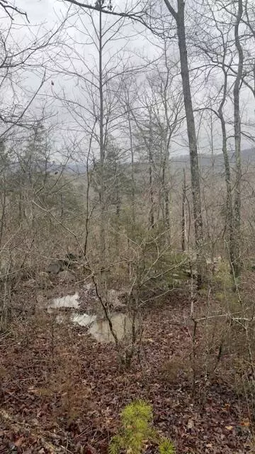 8 7 Wolf Gap Rd, Bronston, KY 42518 photo 2