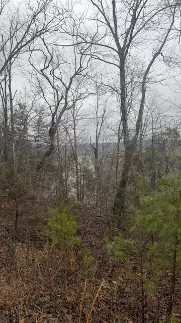 8 7 Wolf Gap Rd, Bronston, KY 42518