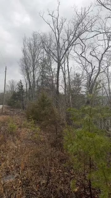 8 7 Wolf Gap Rd, Bronston, KY 42518 photo 3
