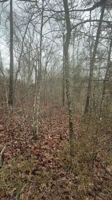 8 7 Wolf Gap Rd, Bronston, KY 42518 photo 6