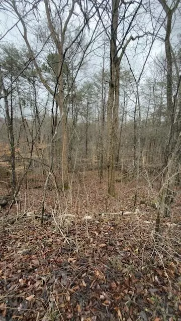 21 Buck Tail Drive, Burnside, KY 42519