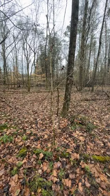 21 Buck Tail Drive, Burnside, KY 42519 photo 3