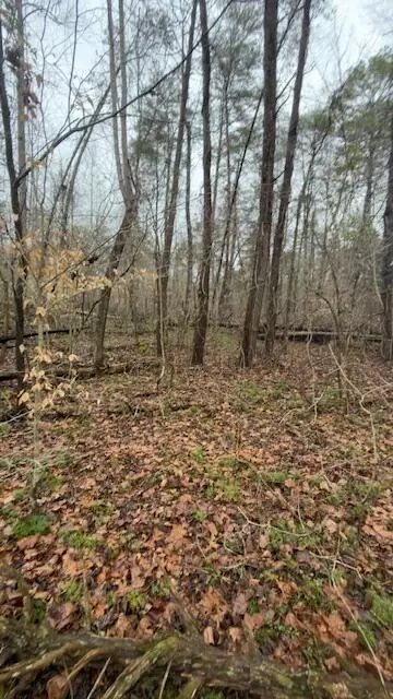21 Buck Tail Drive, Burnside, KY 42519 photo 4