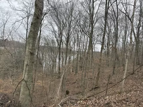 108 Ramsey Point Rd, Monticello, KY 42633