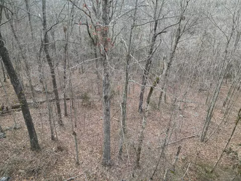 26 Colonel Dr, Burnside, KY 42519 photo 4