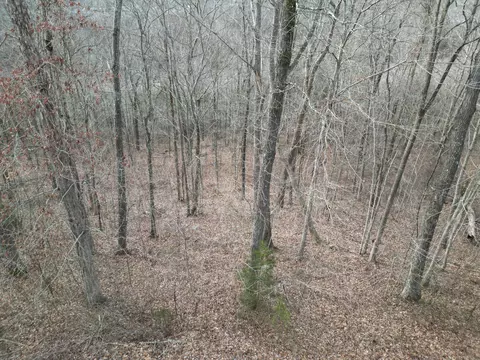 26 Colonel Dr, Burnside, KY 42519 photo 3