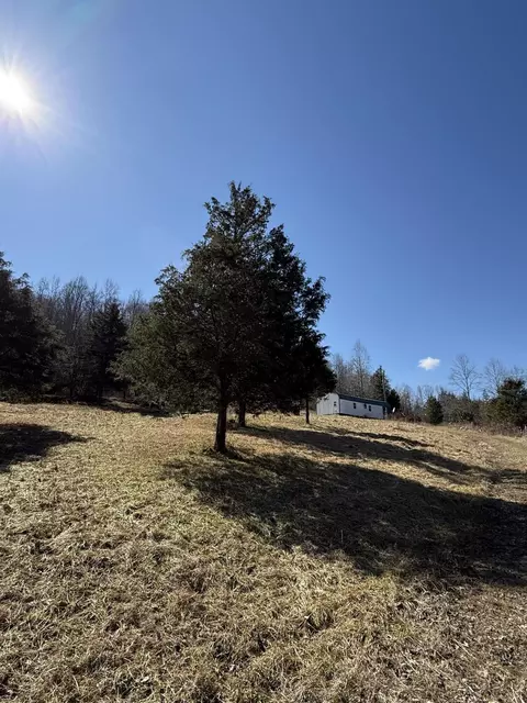 1131 Poplar Flat Rd, Tollesboro, KY 41189