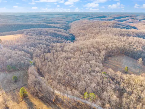 1622 Dummit Ridge Rd, Garrison, KY 41141 photo 12