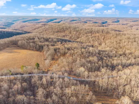 1622 Dummit Ridge Rd, Garrison, KY 41141 photo 15