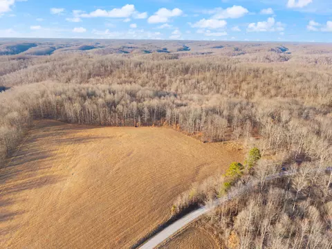 1622 Dummit Ridge Rd, Garrison, KY 41141 photo 16