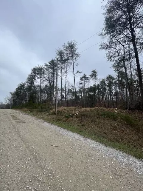 141 Pine Tree Cir, Nancy, KY 42544 photo 3