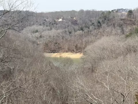 View/Area - 176 The Village Dr, Nancy, KY 42544 photo 2 of 14