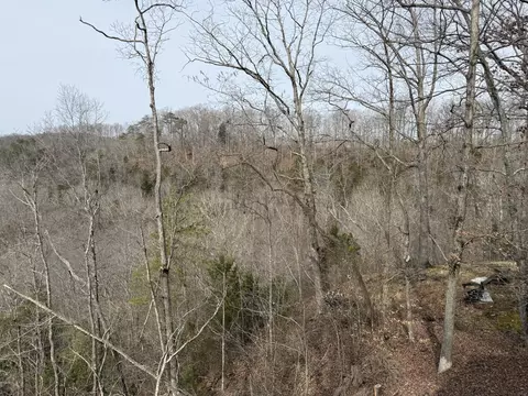View/Area - 176 The Village Dr, Nancy, KY 42544 photo 5 of 14